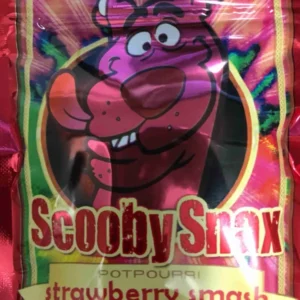 Scooby Snax Incense